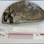 ひもの万宝商店 - 