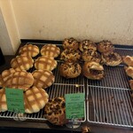 リョウイチヤマウチ - 