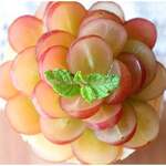 クレープリー チロル - 