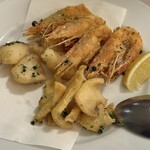 ドンナセルバティカ - 