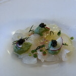 ドンナセルバティカ - 