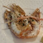 ドンナセルバティカ - 