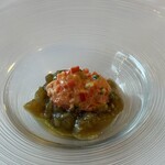 ドンナセルバティカ - 