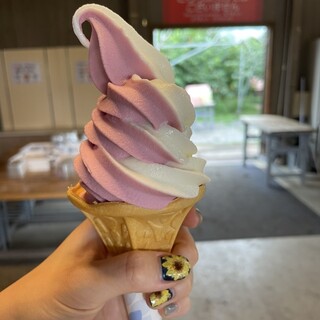 ニトリ観光果樹園_1