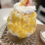 天然氷のかき氷 ひめじ官兵衛堂 - 