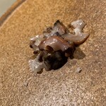 おしゃべりきのこ - 