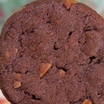 Sunbeam - チョコアーモンドクッキー（表面）