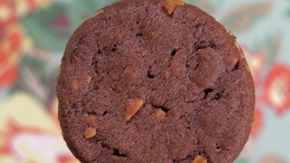 Sunbeam - チョコアーモンドクッキー（表面）