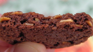 Sunbeam - チョコアーモンドクッキー（断面）