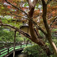 うかい鳥山 - 
