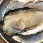 seafood ナイス貝 - 生牡蠣
