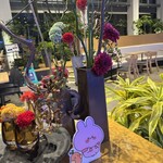 スターバックスコーヒー - 