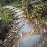 スターバックスコーヒー よみうりランドHANA・BIYORI店 - 