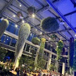 スターバックスコーヒー - 