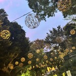 スターバックスコーヒー よみうりランドHANA・BIYORI店 - 