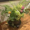 木曽路 - 