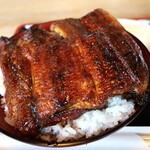 かも川 - 上 うなぎ丼