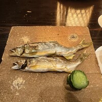 たでの葉 - バチうま鮎の食べ比べ