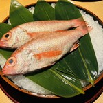 泉岳寺門前 紋屋 - 