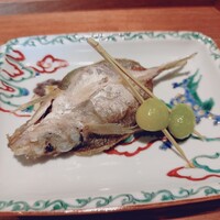 日本料理FUJI - ◎小川港の泳がせの小アジの素焼き