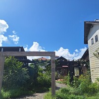 レストラン カーブドッチ - 