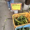 羽生田売店 高原野菜生産直売所