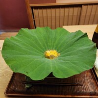 緒方 - 