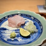 日本料理FUJI - お造りは、ハタ。
      盛り付けも、炙って旨味を引き出した部位は一番下にするなど、味わいのグラデーションを楽しめるような気遣いがあります。
      塩か、手作りの鰯の魚醤で。これまた美味♪