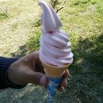 ひたち海浜公園中央口売店 - コキアの丘ソフトクリーム