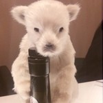 エクアトゥール - こんな余興も（笑）