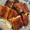 うなぎの中庄 - うなぎが大きいです！さくふわ