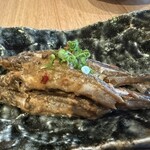 たまの井はん - 