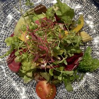 サンタ・マリア・ノヴェッラ・ティサネリーア 京都店 - 