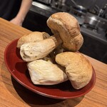 イル アオヤマ - 