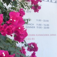 レストラン ラ・マーレ - 