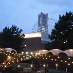 DREAM DOOR YOKOHAMA HAMMERHEAD - 