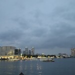 DREAM DOOR YOKOHAMA HAMMERHEAD - 