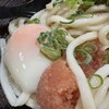立花うどん
