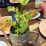 東南アジア屋台 アガリコ食堂 - 