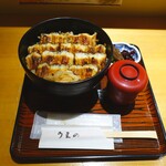 あなごめしうえの - あなごめし大