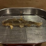 てんぷら 深町 - 稚鮎