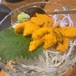 コロポックル - 