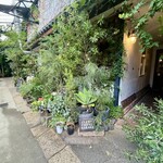 CLAMP COFFEE SARASA - 