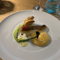 Loiseau de France - 