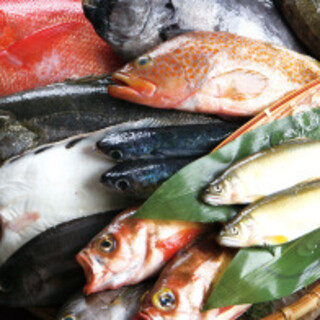 旬魚季彩一誠 - 料理写真: