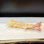 天富良 天露 - 車海老 ２本目 （愛知からの天然物）