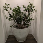 レストラン　ノリ　エ　ノジ - 