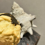 くすのき - サザエの酵素分解