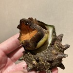 くすのき - 氷見サザエ