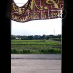 ピニッド ストア - 